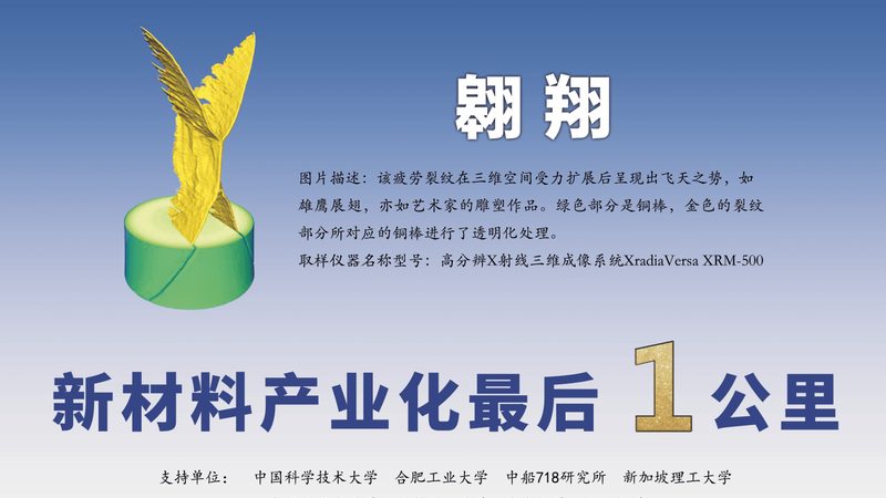 食品乳化剂：揭秘常用材质及其应用