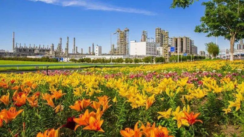 木材胶粘剂使用方法：关键步骤与注意事项